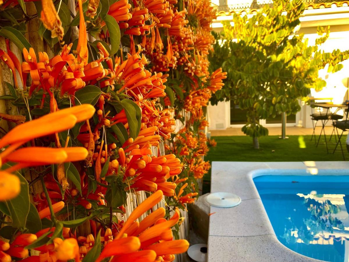 Suite Breeze - Private Heated Pool 말라가 외부 사진
